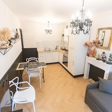 Le Cabinet De Curiosite - La Bonne Marienne Apartment Angers