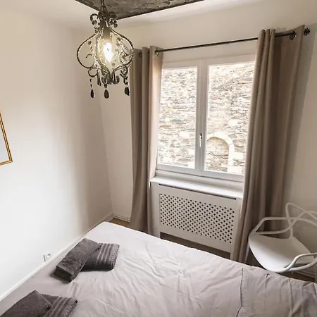 Le Cabinet De Curiosite - La Bonne Marienne Apartment Angers