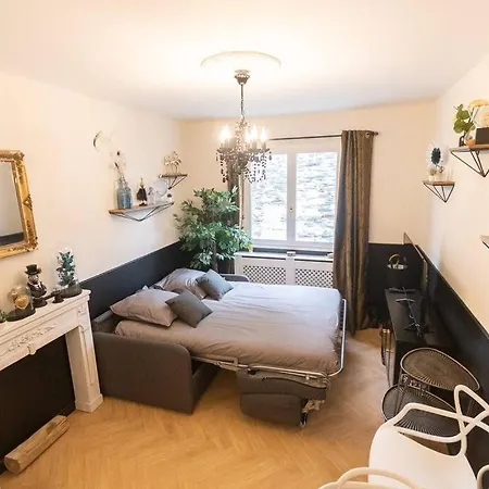 Le Cabinet De Curiosite - La Bonne Marienne Angers