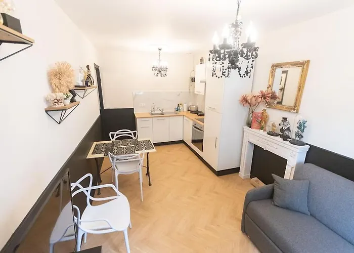 Le Cabinet De Curiosite - La Bonne Marienne Apartament Angers