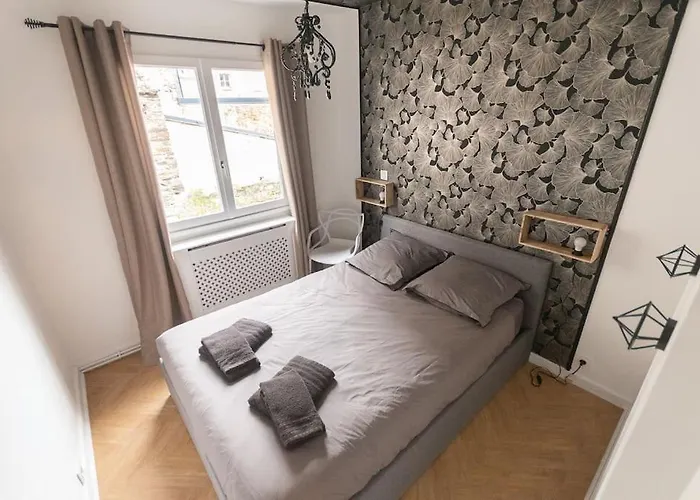 Le Cabinet De Curiosite - La Bonne Marienne Apartament Angers