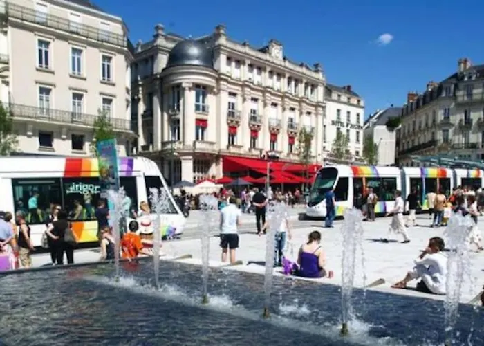 Le Cabinet De Curiosite - La Bonne Marienne Angers