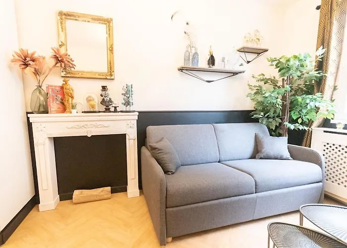 Apartament Le Cabinet De Curiosite - La Bonne Marienne Angers