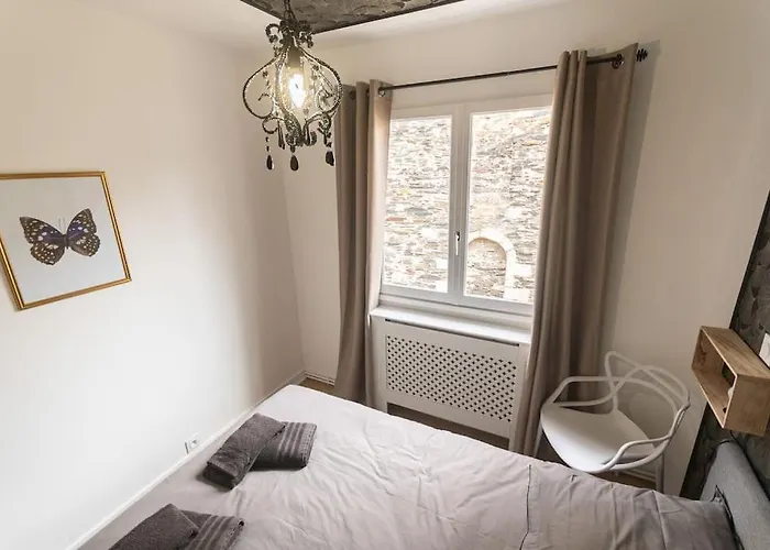 Le Cabinet De Curiosite - La Bonne Marienne Apartament Angers