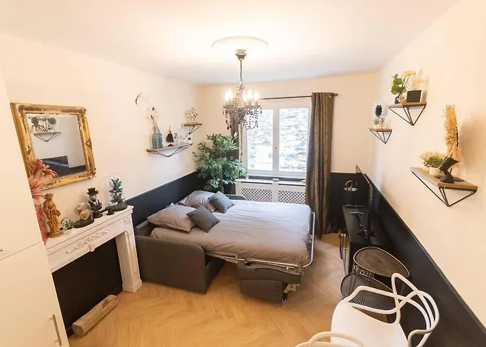 Le Cabinet De Curiosite - La Bonne Marienne 昂热