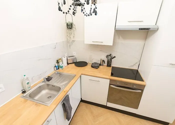 Le Cabinet De Curiosite - La Bonne Marienne * Angers